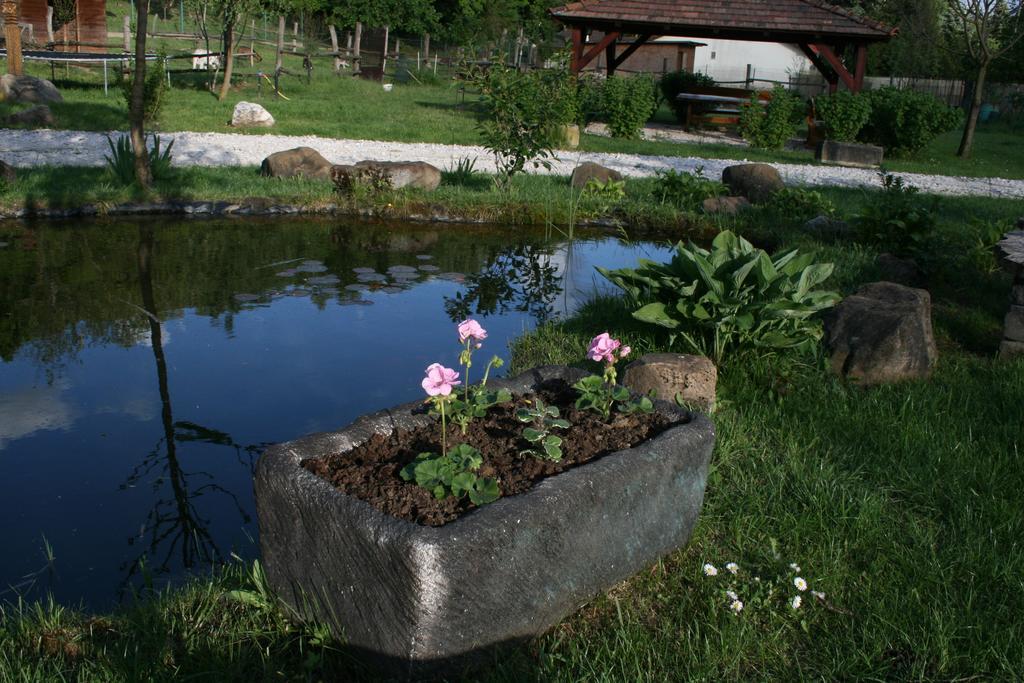 Malomdulo Farmhaz Guest House Pilisborosjeno Luaran gambar